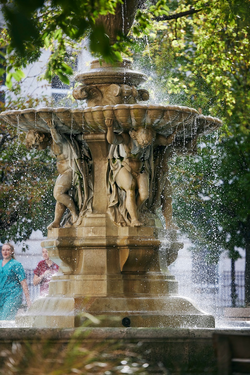 Photo ©MatthewAndrews https://matthewandrewsphotographer.co.uk/